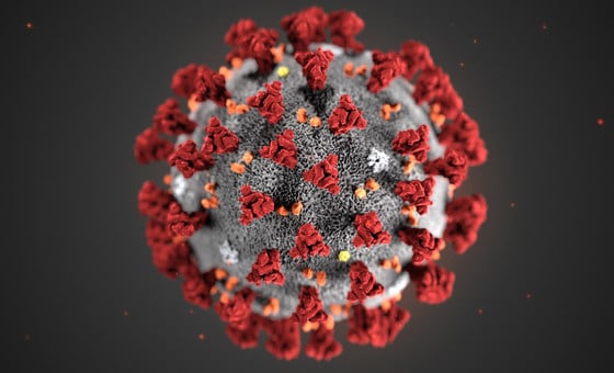 Coronavirus