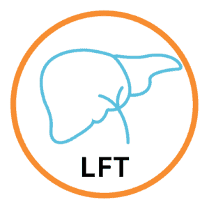 Liver Function Test