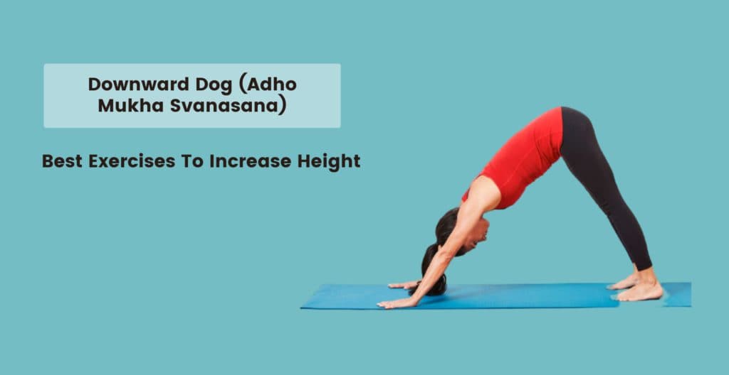 Downward Dog (Adho Mukha Svanasana)