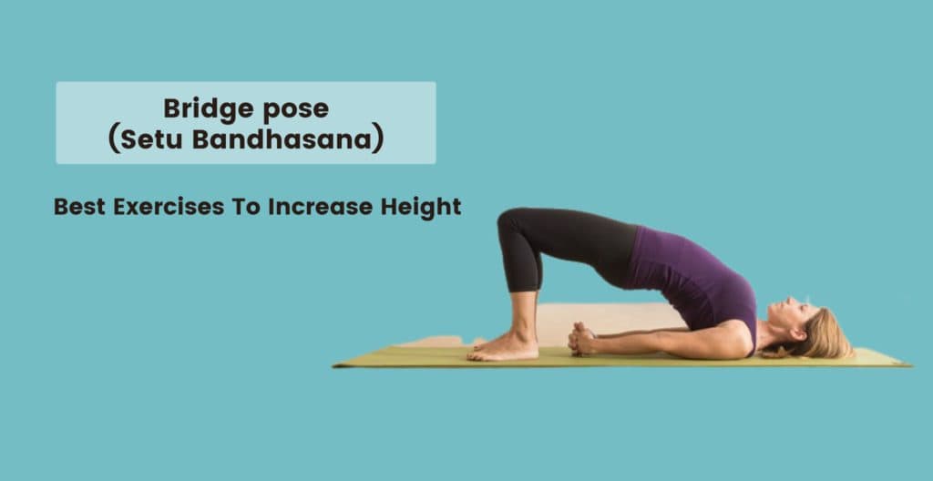 Bridge pose (Setu Bandhasana)