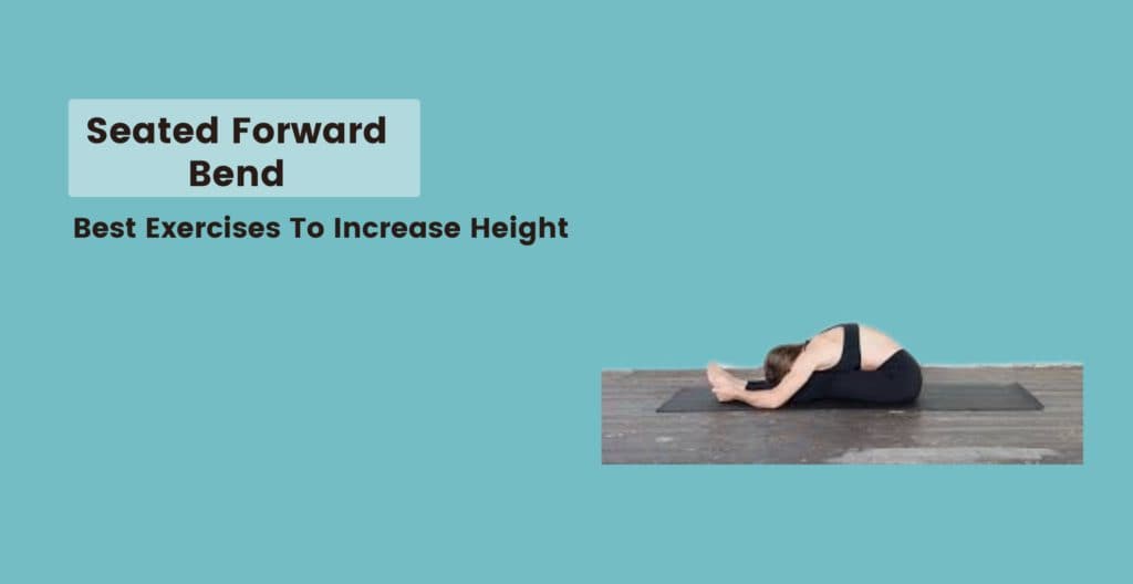 Seated Forward Bend 