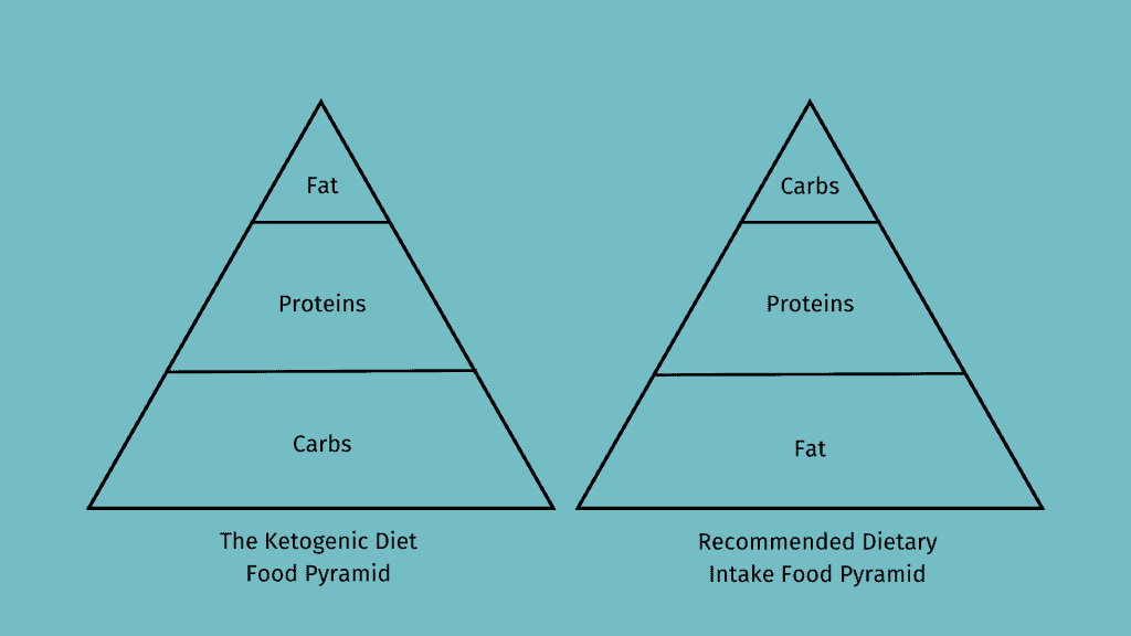 The Ketogenic Diet