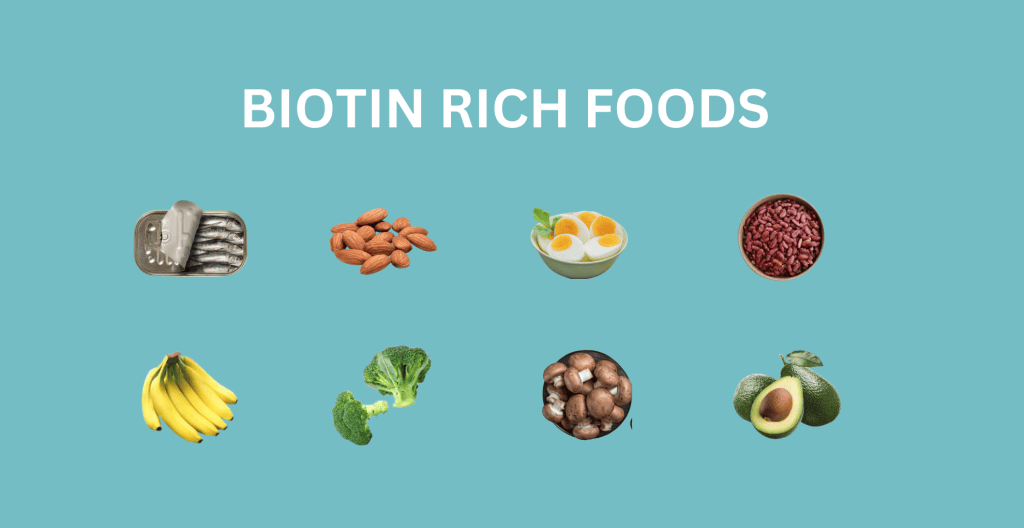 Biotin Rich Foods