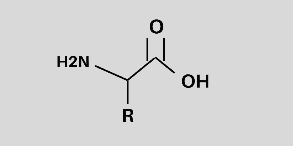 Structure of amino acids