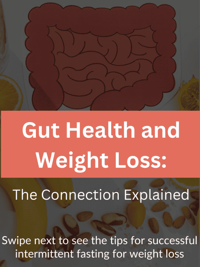 Connection Between Gut Health and Weight Loss